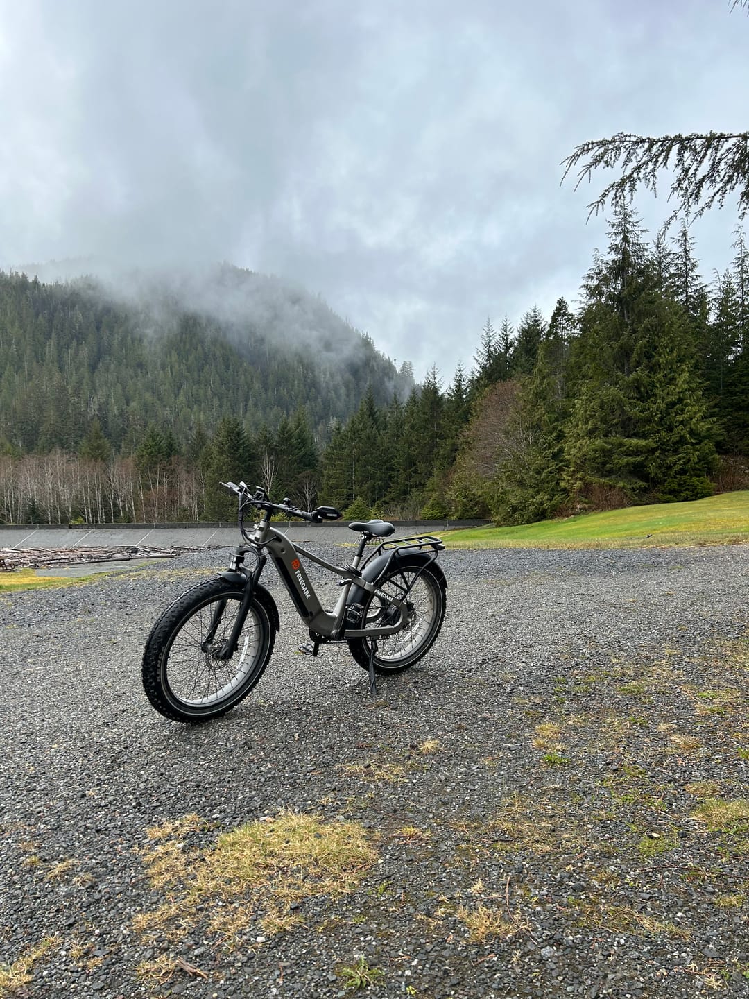 Customer photo review of Fender for Saiga