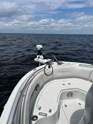 Customer photo review of Sea Swivel