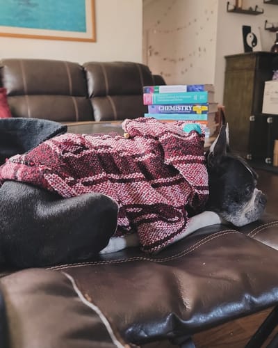 Customer photo review of Playa Poncho - Surprise Color