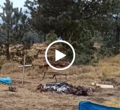 Reseña con vídeo de un cliente sobre Ultimate Short Ribs (Costillar completo)