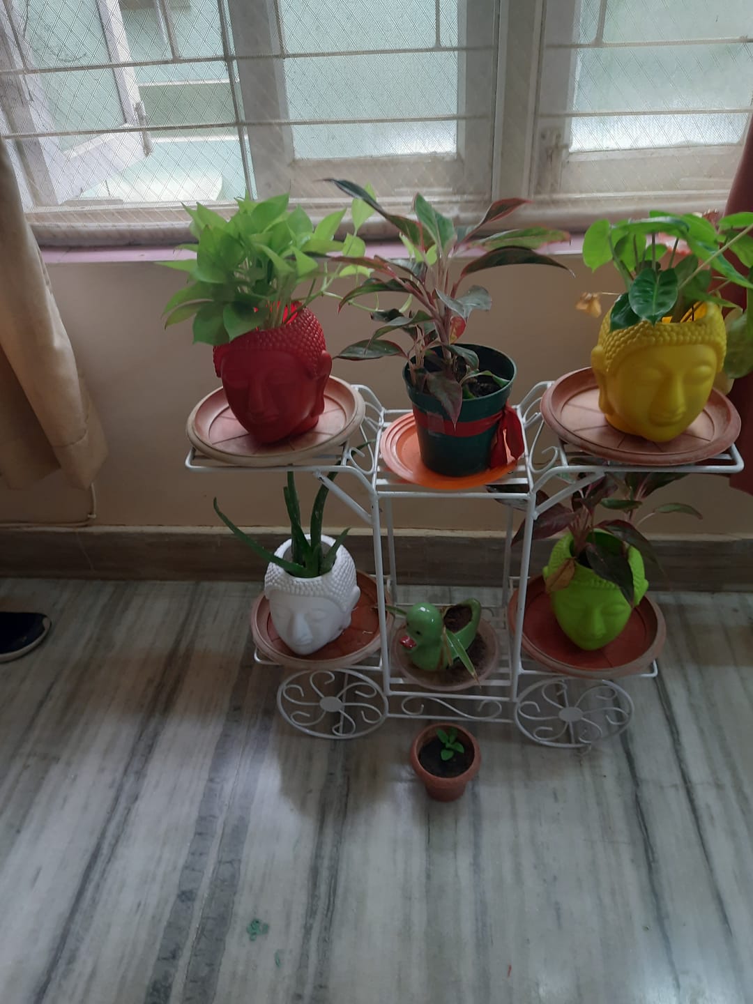 Customer photo review of 6-Tier Cart Planter Stand, Outdoor Flower Rack
