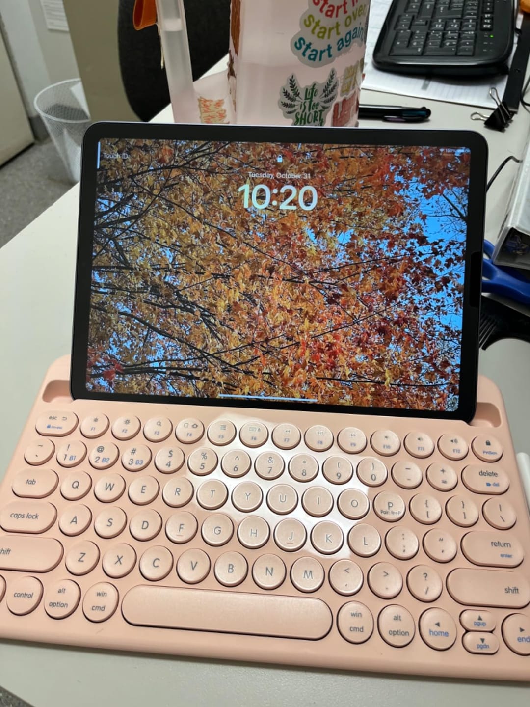 Customer photo review of iPad Keyboard Bluetooth | & Mac, iPhone