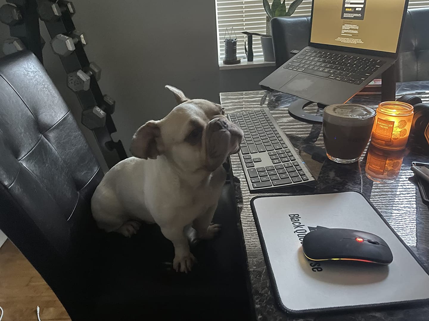 Customer photo review of The Everyday Bluetooth Keyboard for Mac