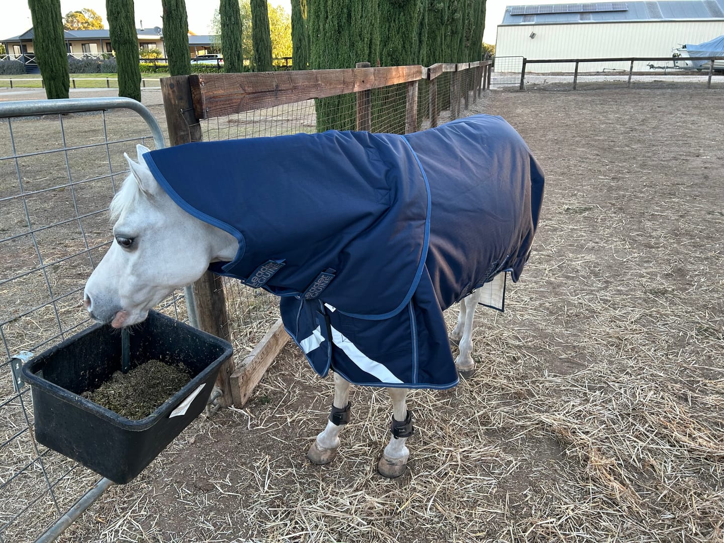 Customer photo review of LE Boxter Turnout Ripstop 200g