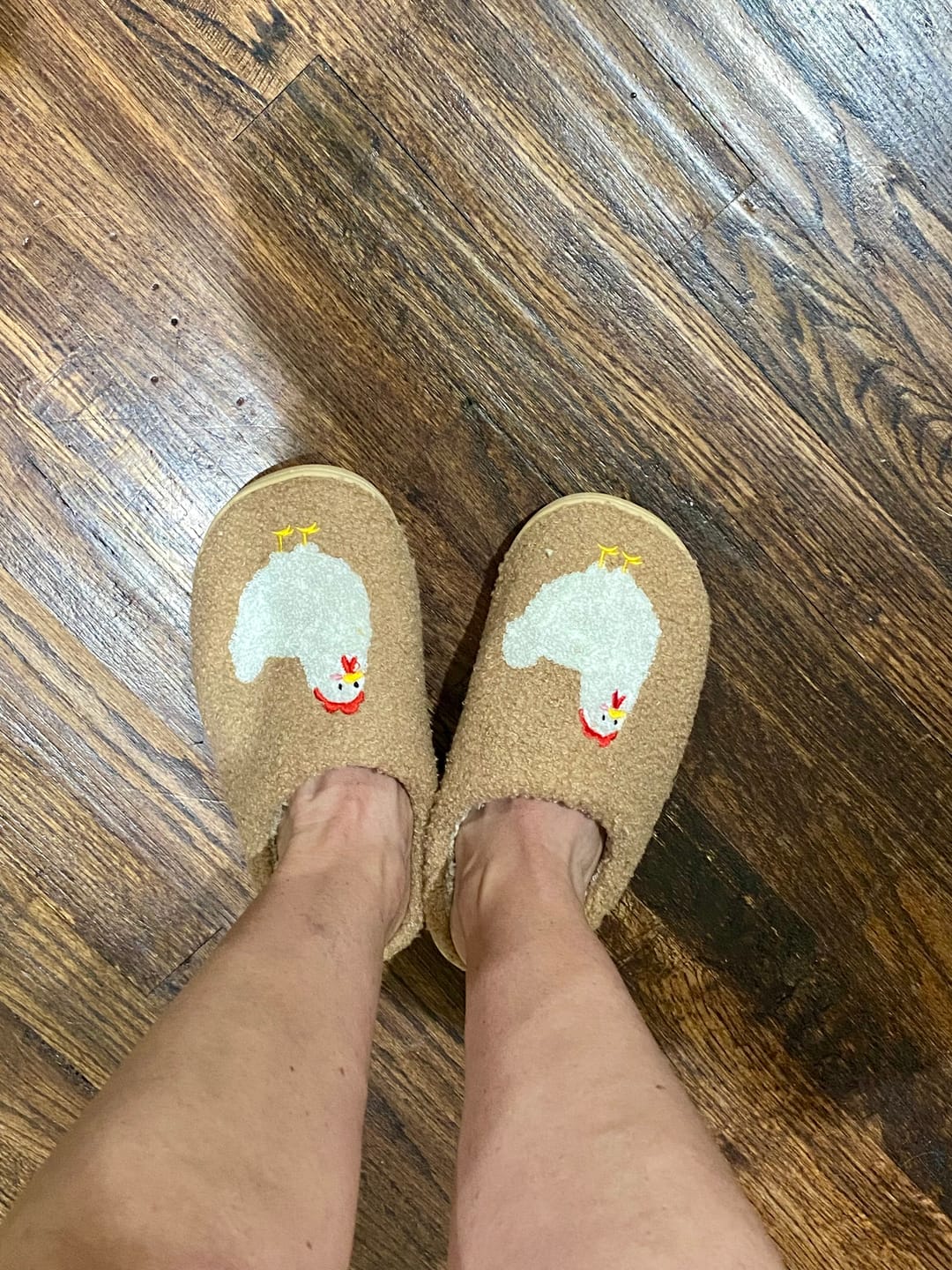 Customer photo review of Brown Fuzzy Chicken Slippers - Adult