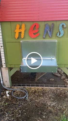 Customer video review of Small (24") Reversible Rollout Nest Box (Up to 20 Hens) - Ready to Ship!