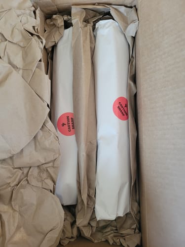 Customer photo review of San Pedro Cactus Cuttings | Echinopsis (Trichocereus) pachanoi Cuttings