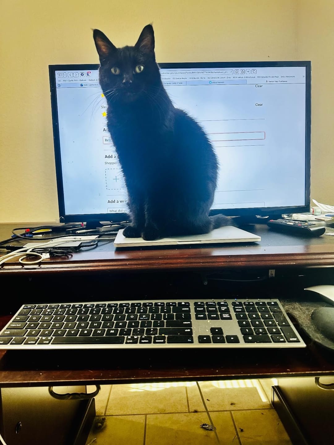 Customer photo review of The Everyday Bluetooth Keyboard for Mac