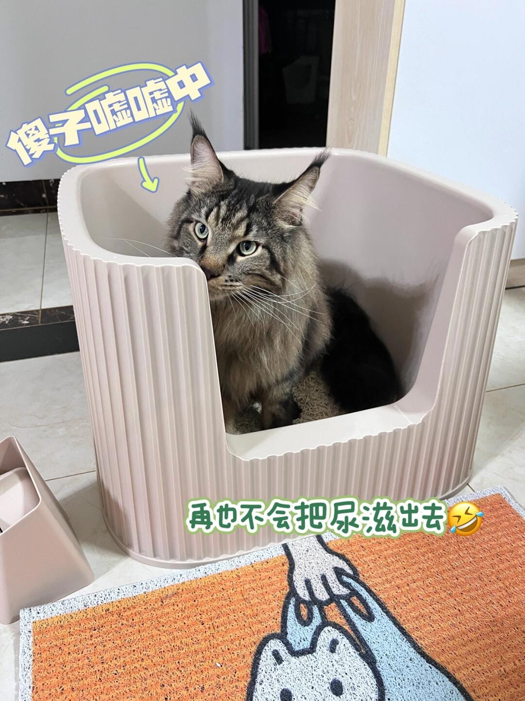 Customer photo review of Michu XXL Coral, BoBa & Sage Deluxe Cat Litter Box - Spacious Design