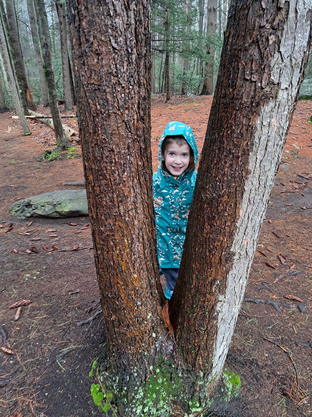 Customer photo review of Midnight Peacocks Waterproof Recycled Raincoat