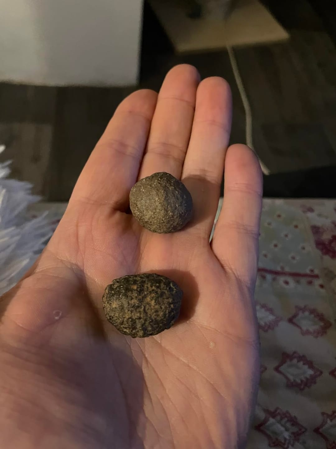 Customer photo review of Moqui Marbles Paar | Lebende Steine