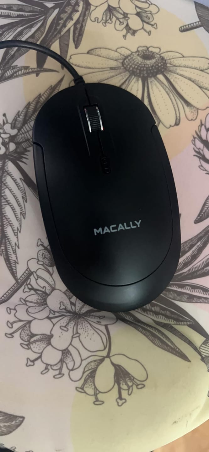 Customer photo review of USB C Mouse | Comfortable + Quiet Click