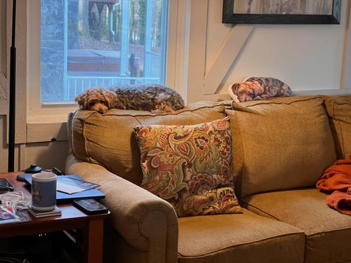 Customer photo review of Custom Photo Pet Pillow