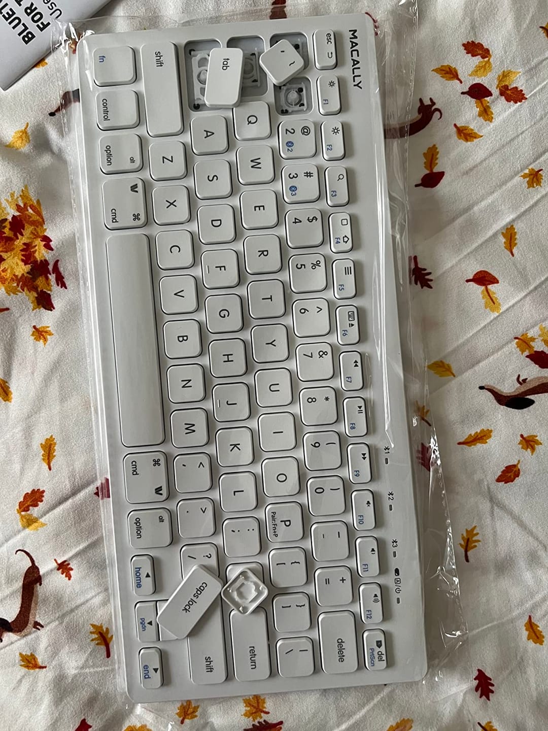 Customer photo review of Bluetooth Keyboard for Mac