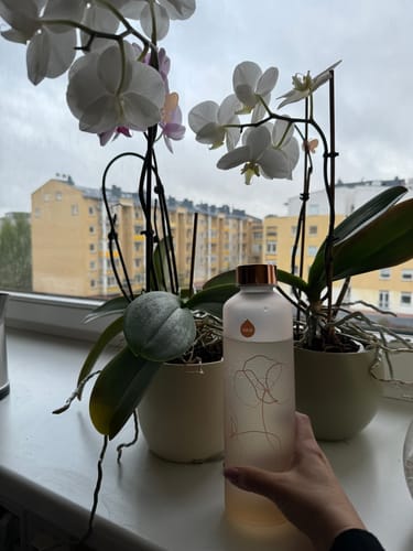 Customer photo review of Stiklo gertuvė BLOOM