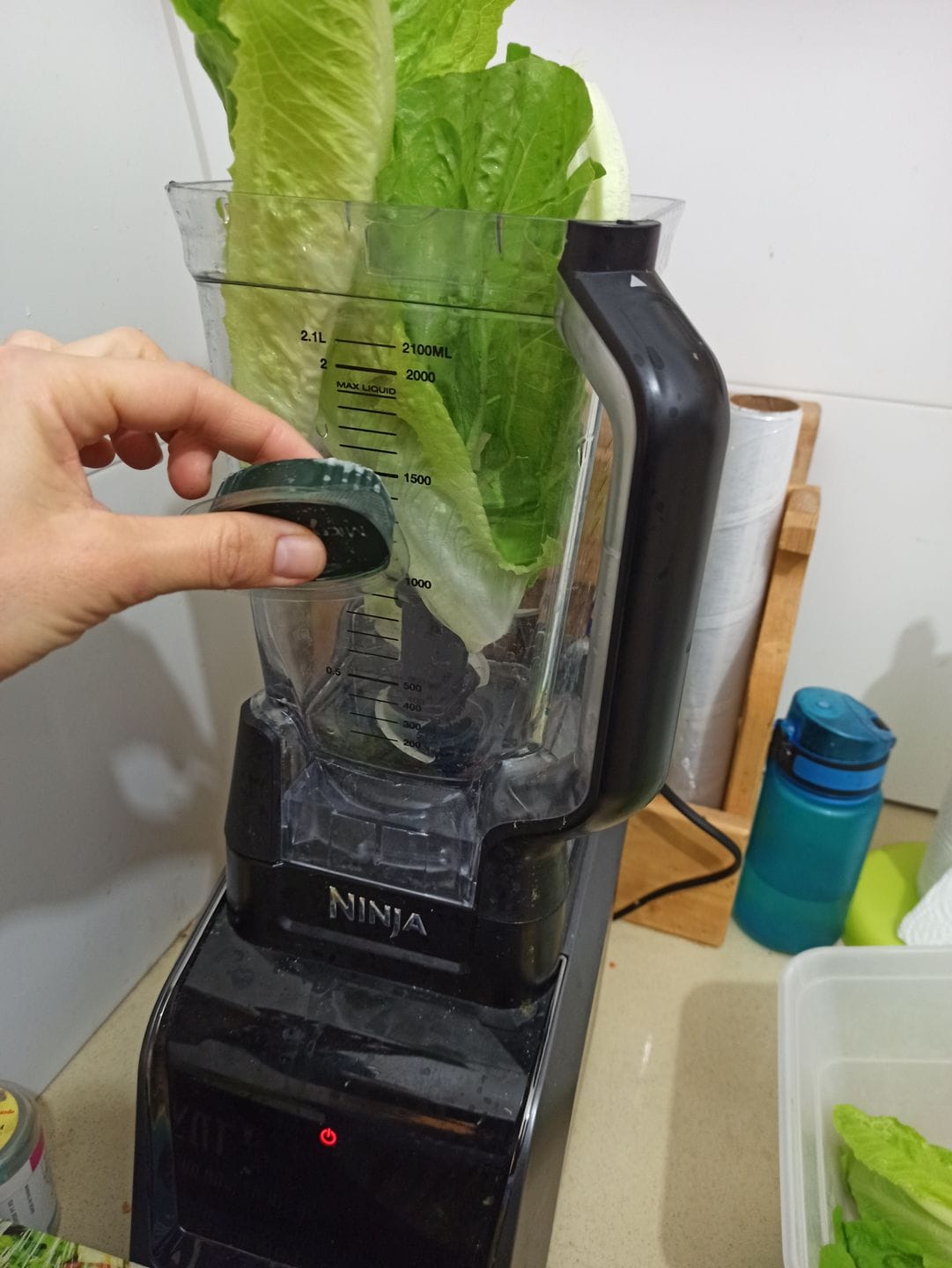 Customer photo review of Fresh Frozen Spirulina SimpliiGood