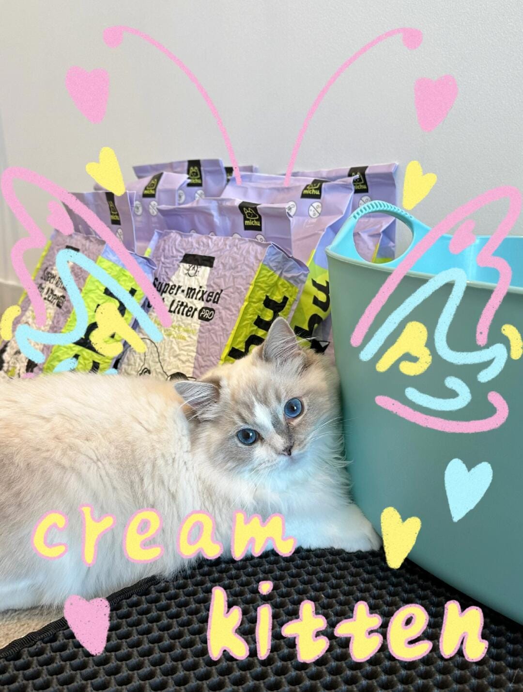 Customer photo review of Michu Premium Mixed Tofu Cat Litter Pro Gen2 6L- Superb in Flushable, Eco-Friendly & Odour-Control