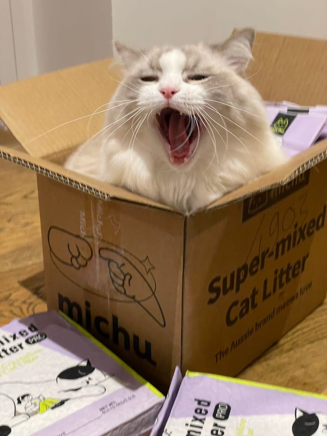 Customer photo review of Michu Premium Mixed Tofu Cat Litter Pro Gen2 6L- Superb in Flushable, Eco-Friendly & Odour-Control