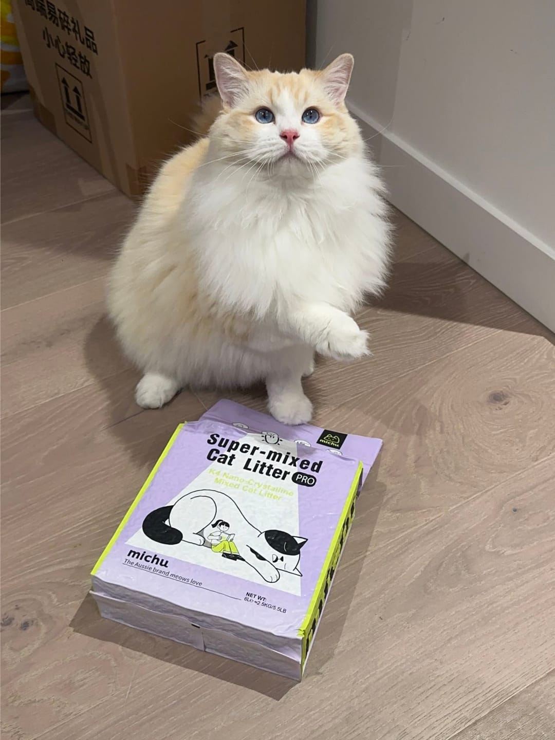 Customer photo review of Michu Premium Mixed Tofu Cat Litter Pro Gen2 6L- Superb in Flushable, Eco-Friendly & Odour-Control