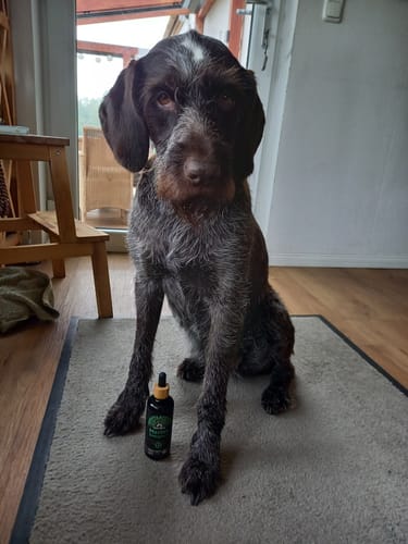 Customer photo review of Omega-3 Algenöl (100ml)