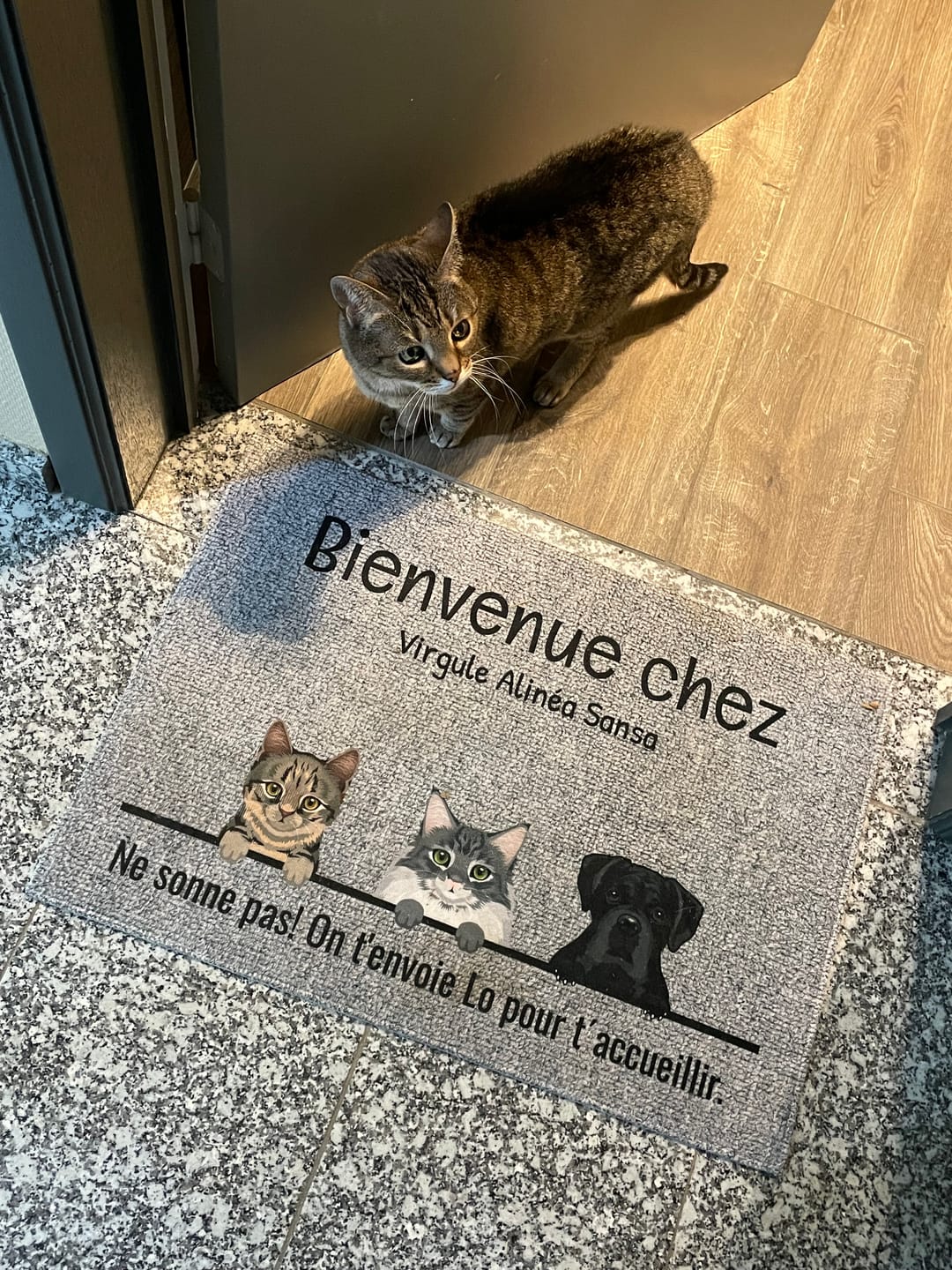 Customer photo review of Tous mes amis à poils - Paillasson personnalisé