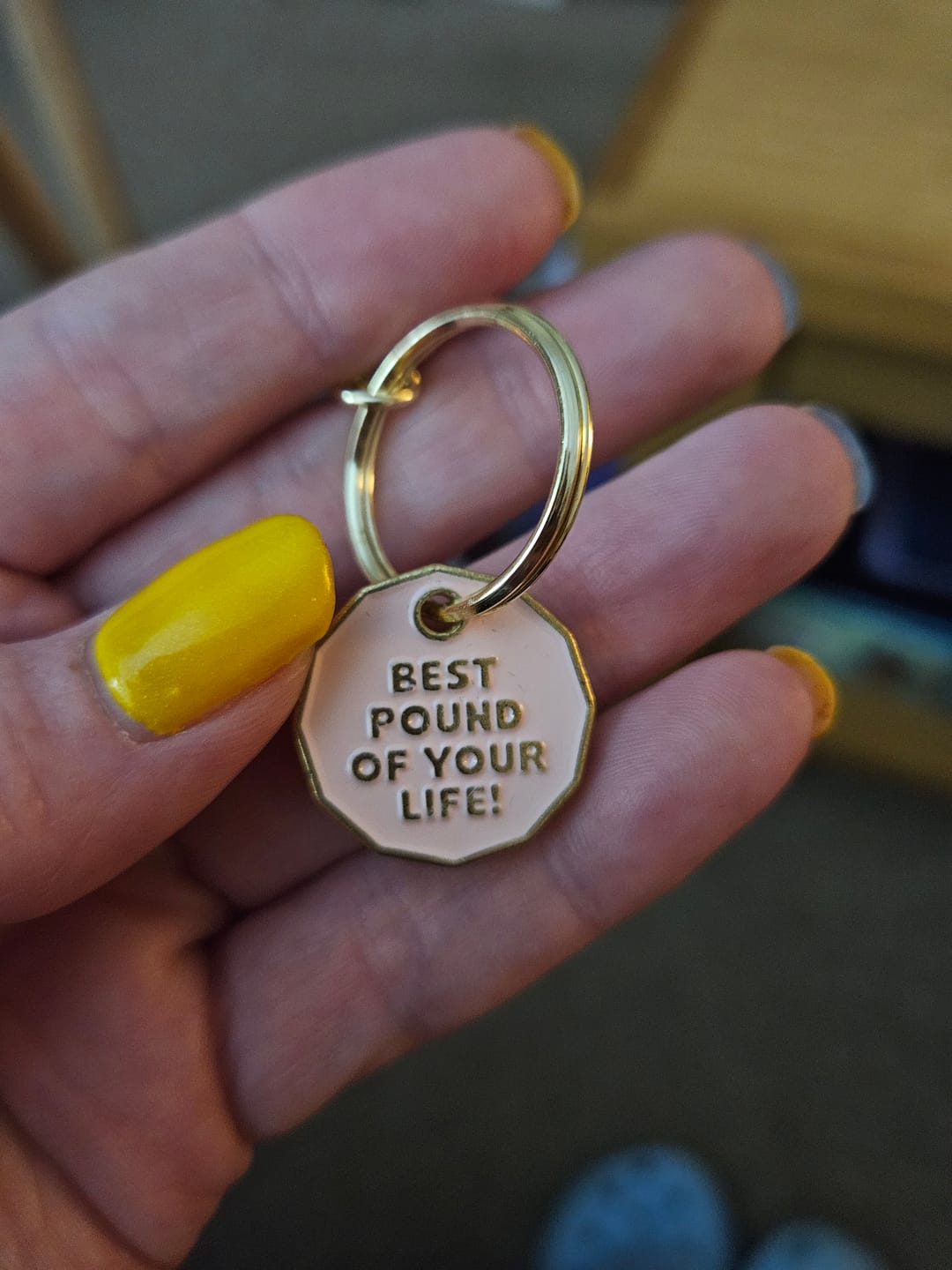 Customer photo review of Freebie Best Pound of Your Life - Trolley Coin