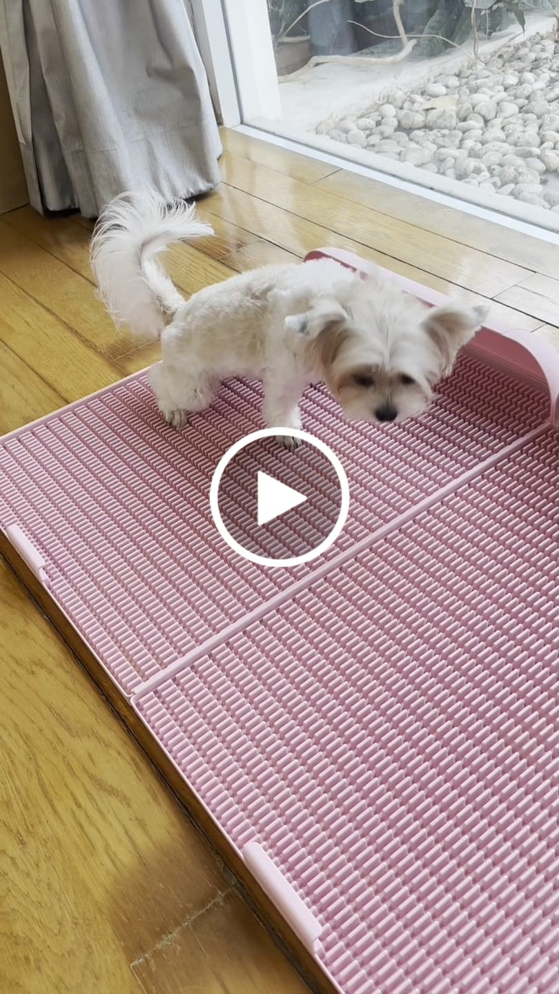 Customer video review of Extended Protrusion Potty Pad (Size L)