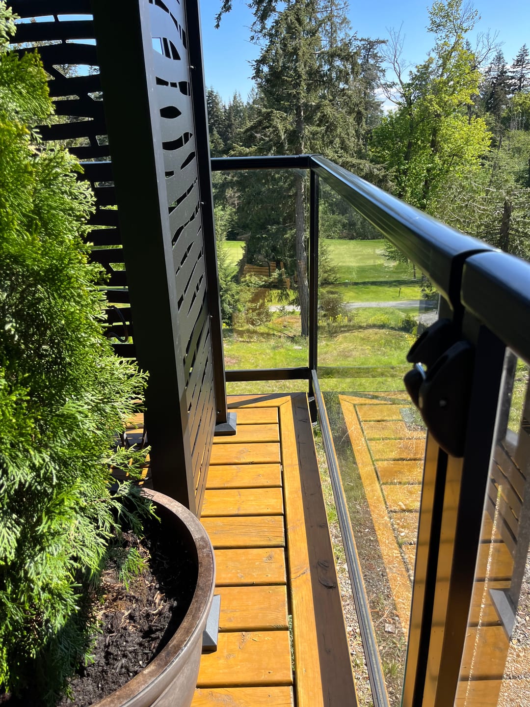Customer photo review of Privacy Screen (Branch)