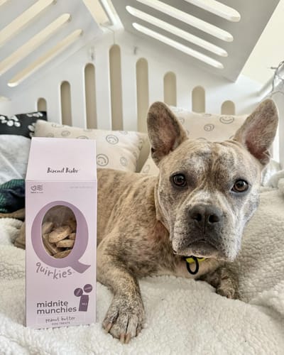 Customer photo review of Quirkies Biscuits