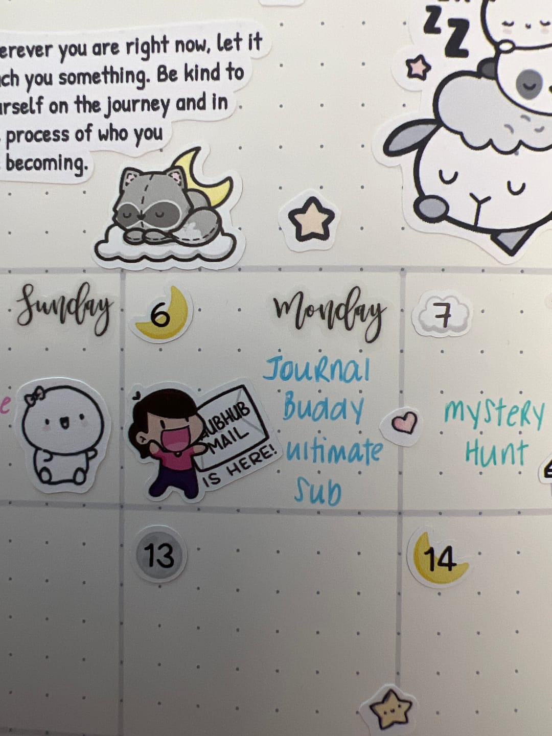 Customer photo review of Chubhub Mail Day Planner Stickers