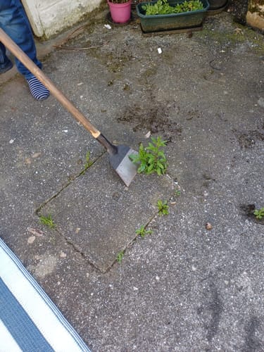 Customer photo review of Pelle de jardin Multifonction