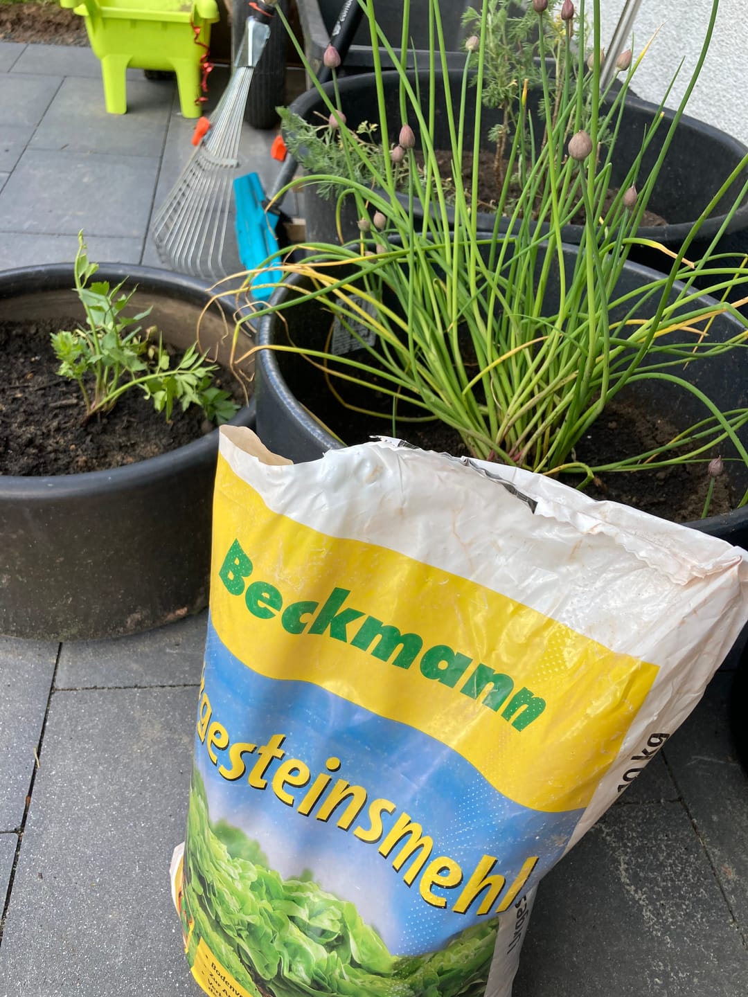 Customer photo review of Urgesteinsmehl zur Bodenverbesserung 10kg