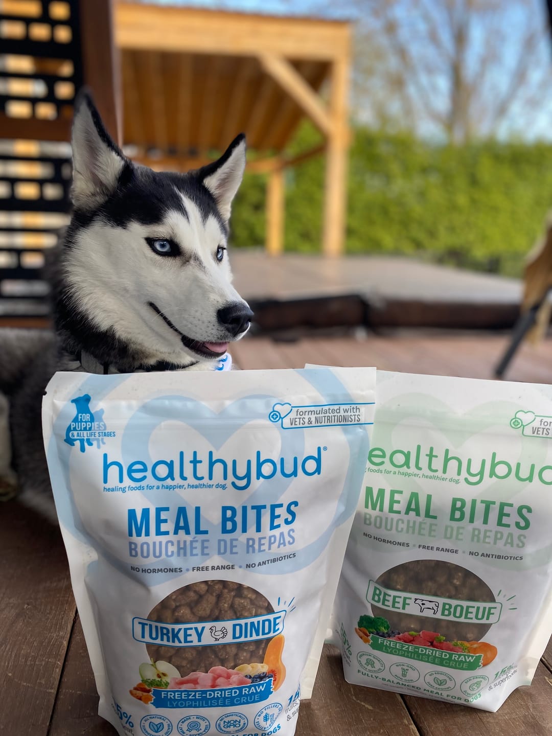 Customer photo review of Turkey Meal Bites
