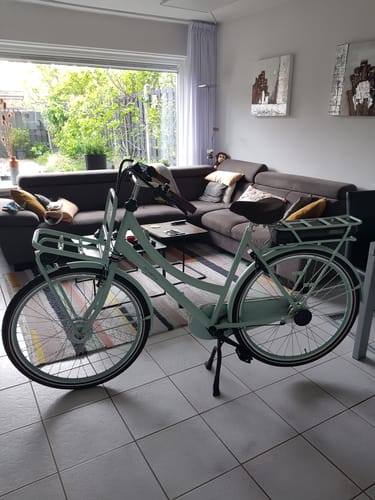 Customer photo review of E-Cargo N3