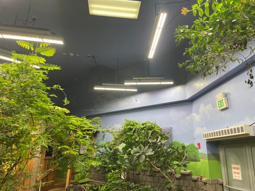 Customer photo review of Hortibest 660W Linear 5' Long, Full Spectrum Commercial LED Grow Light