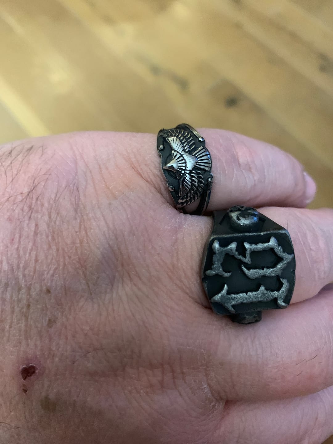 Customer photo review of Free As Bird.