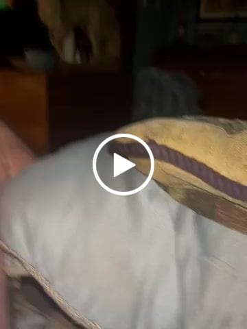 Customer video review of Vim - Vacuum Suction & Vibrating Male Efficient Enlargement Penis Pump