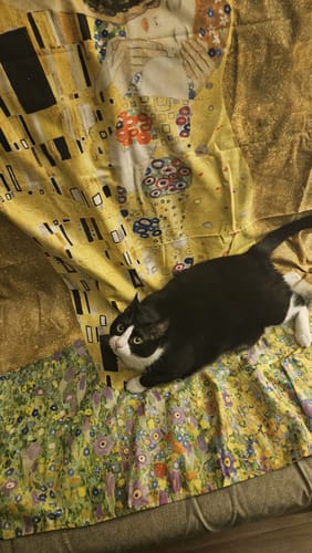 Customer photo review of Gustav Klimt İlk Öpücük The Kiss Tablo Duvar Örtüsü