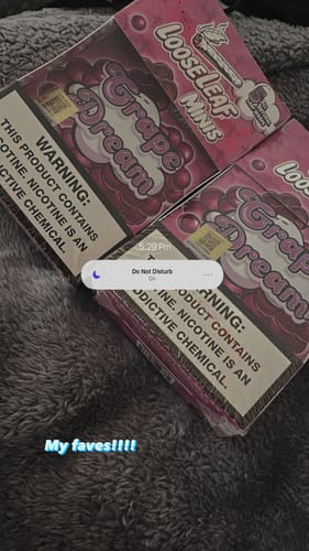 Customer photo review of Grape Dream LooseLeaf 5-Pack Minis (40 Count)