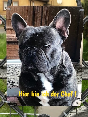 Customer photo review of Hunde-Türschild personalisiert mit Foto & Text (UV- und wetterfest)