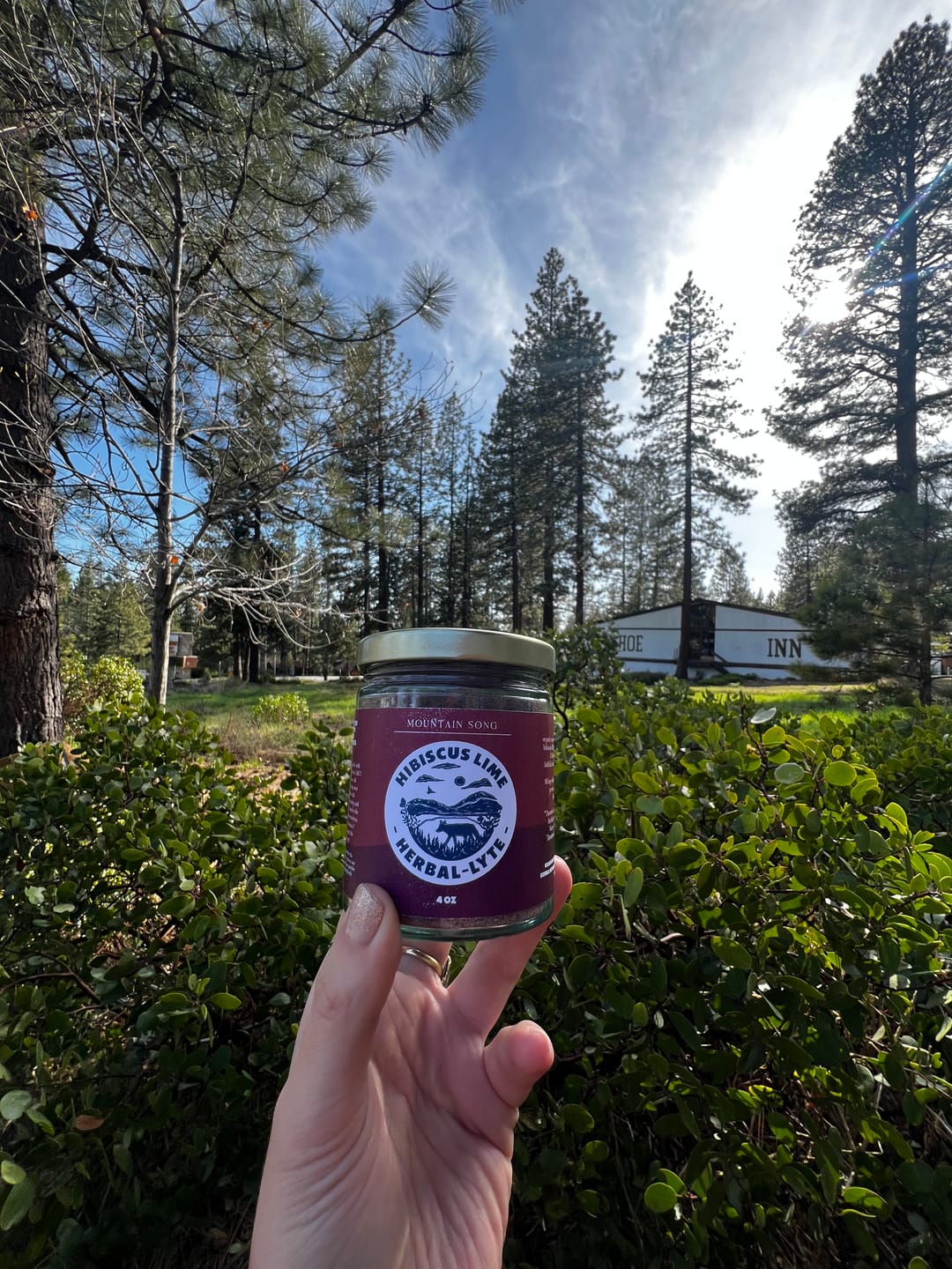 Customer photo review of Hibiscus Lime Herbal-lyte