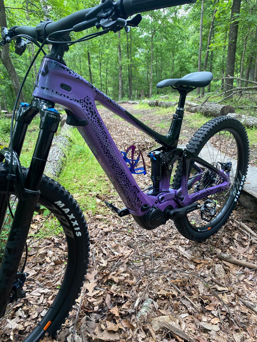 Customer photo review of Cheetah Frame Keeper
