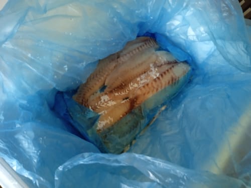 Customer photo review of 5KG Snapper Fillets (Skinned and Boned) Frozen