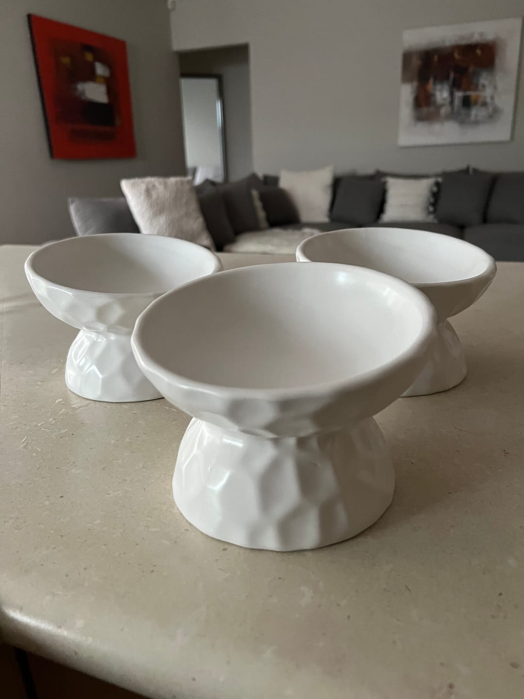 Customer photo review of Tilting Ceramic Cat Bowls With Uneven Texture