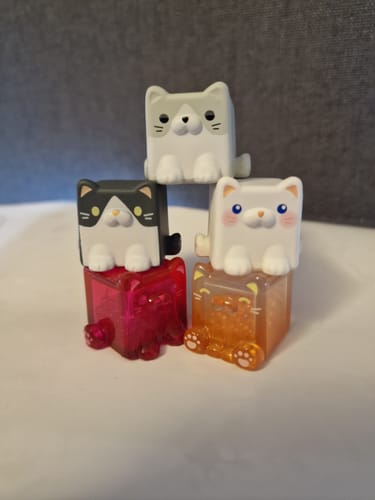Customer photo review of Square Cat Series Blind Bag