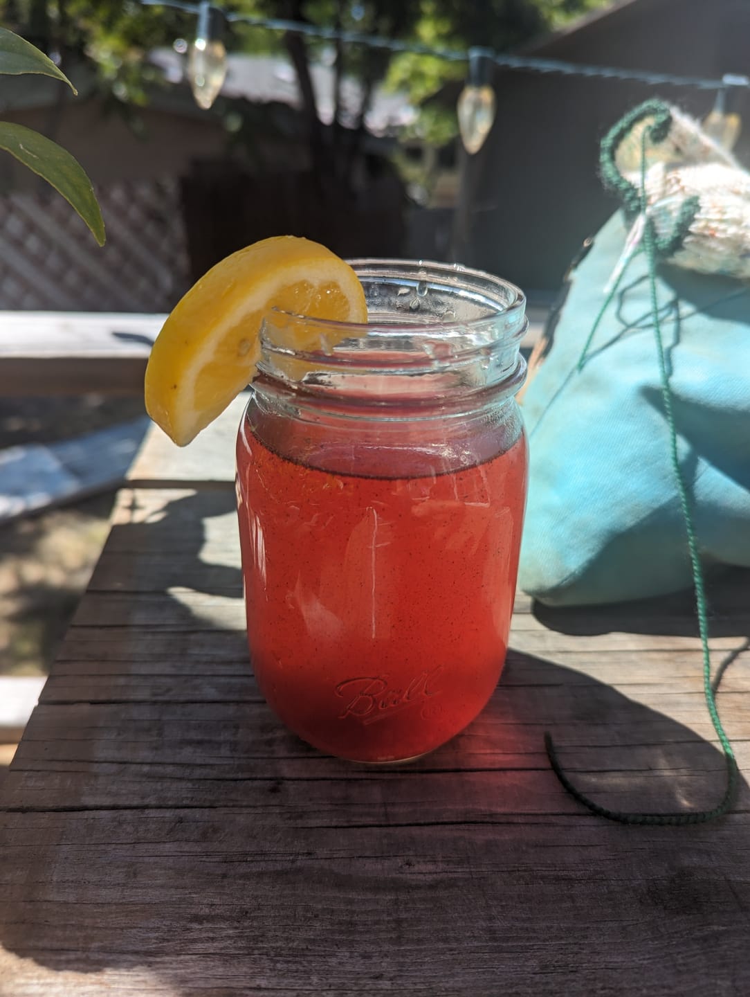 Customer photo review of Hibiscus Lime Herbal-lyte