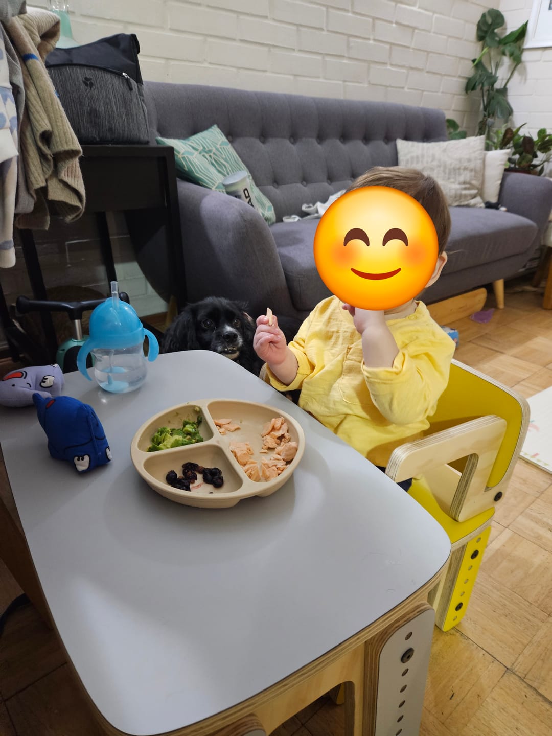 Customer photo review of Silla reni con apoya brazos