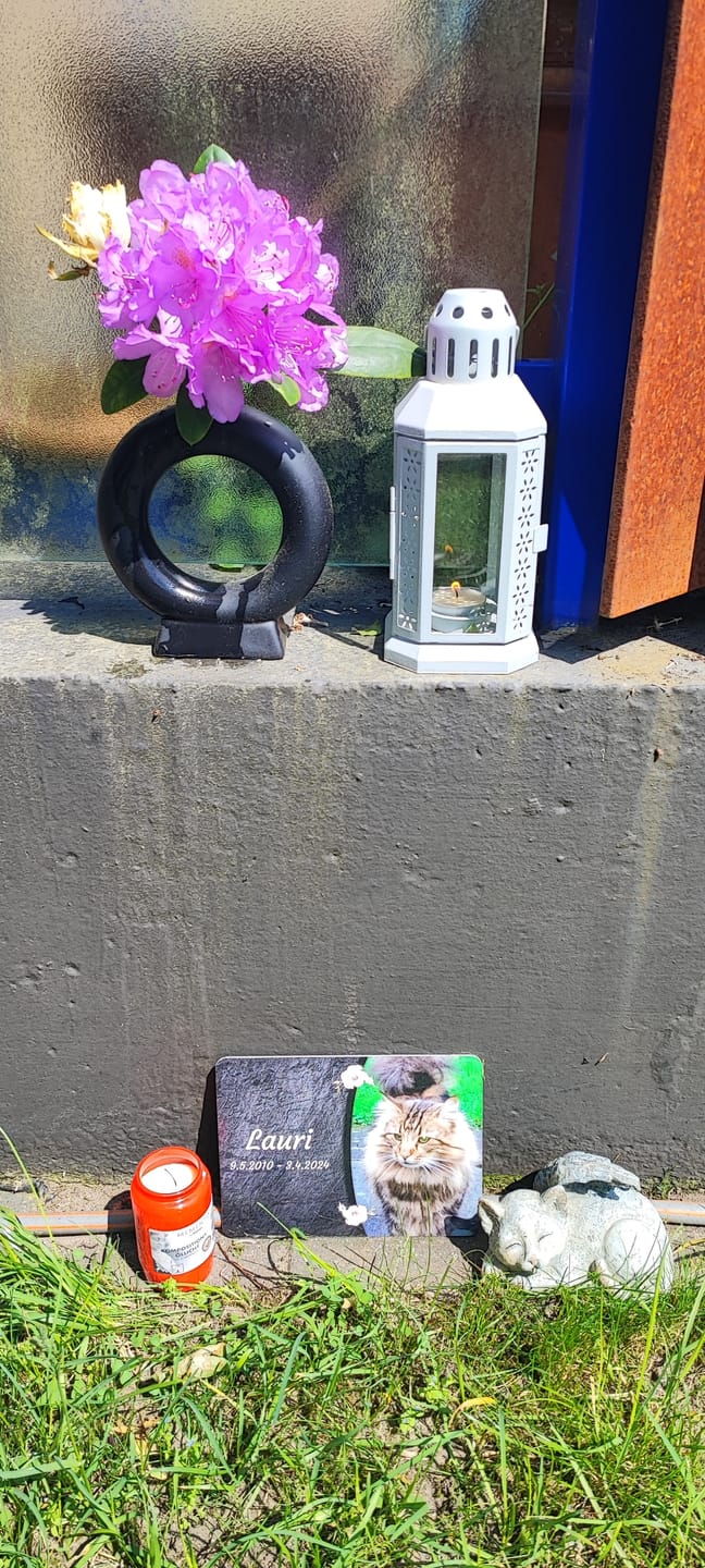 Customer photo review of Katzen Gedenktafel mit Foto & Spruch (UV- & Wetterfest)