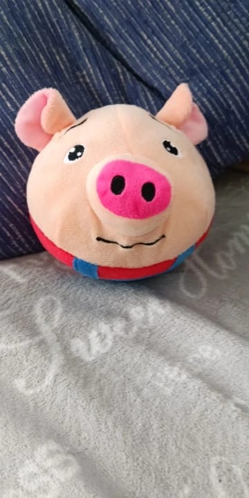 Customer photo review of Bouncing Piggy™ - Interactive Dog Toy