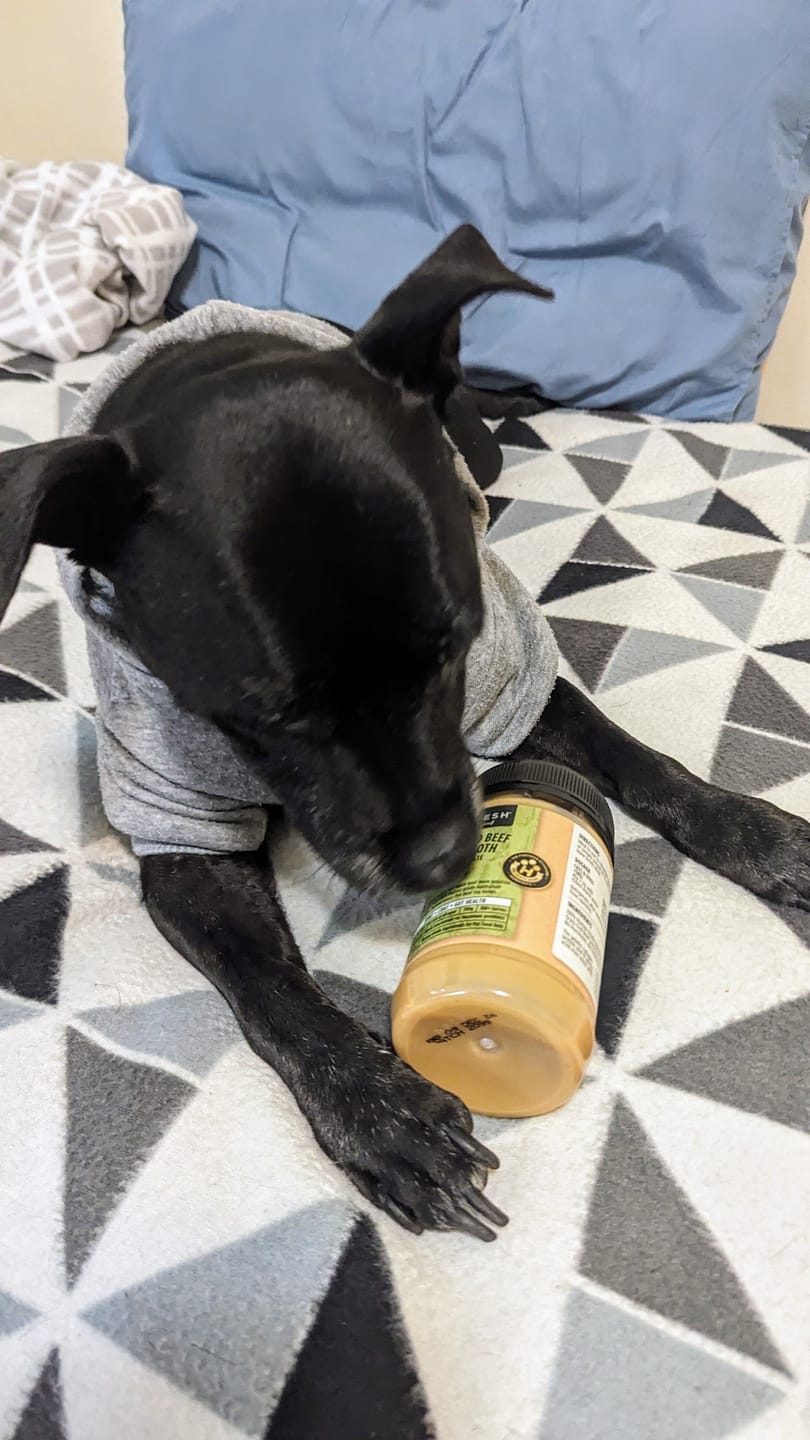 Customer photo review of Grass-Fed Beef Bone Broth Concentrate
